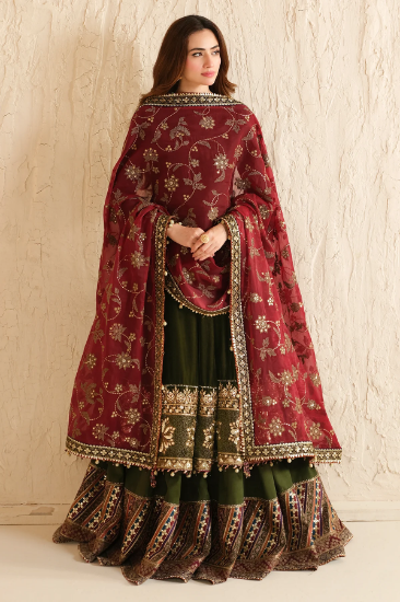 Picture of Embroidered Velvet Formal VF-2036