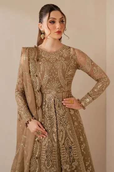 Picture of EMBROIDERED CHIFFON WF'25-04